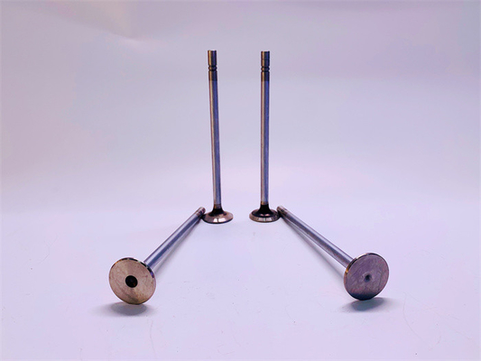 OEM Anticorrosive Diesel Engine Valve 163-2442 188-3122 Fit  C-9